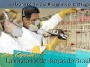 Série Especial Laboratórios de Biogás do Brasil - 1º Episódio - Laboratório de Biogás do CIBiogás