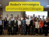 Rodada estratégica promovida pelo CIBiogás destaca passos para alavancar o biogás no Brasil