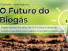 Qual será o futuro do biogás? Ep 3 - Airton Kunz