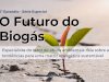 Qual será o futuro do biogás? Ep 5 - Fernando Giachini Lopes