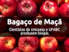 Valorização do bagaço de maçã para produção de biogás
