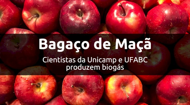 Valorização do bagaço de maçã para produção de biogás