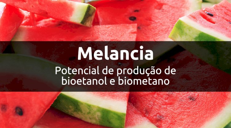 Potencial de produção de bioetanol e biometano a partir de resíduos de melancia