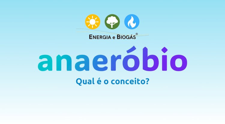 O que é anaeróbio?