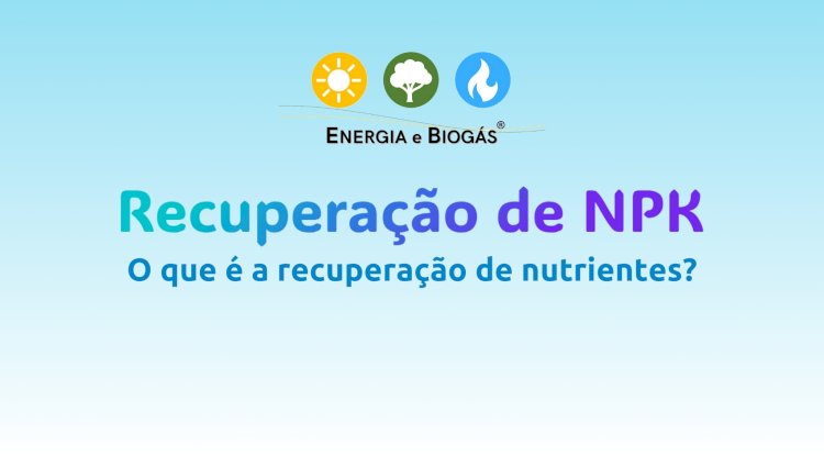 O que é a recuperação de nutrientes do digestato?