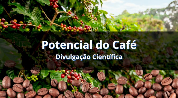 Potencial energético dos resíduos do processamento do café