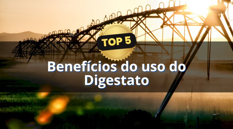 Top 5: Benefícios do uso do Digestato