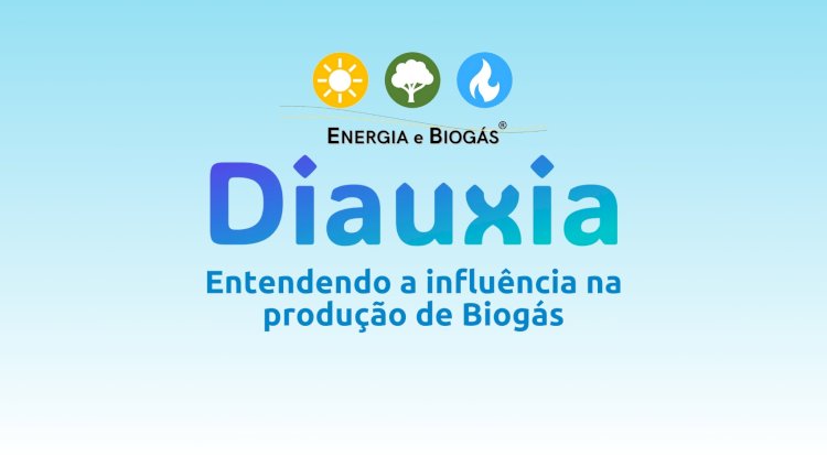 O que diauxia?