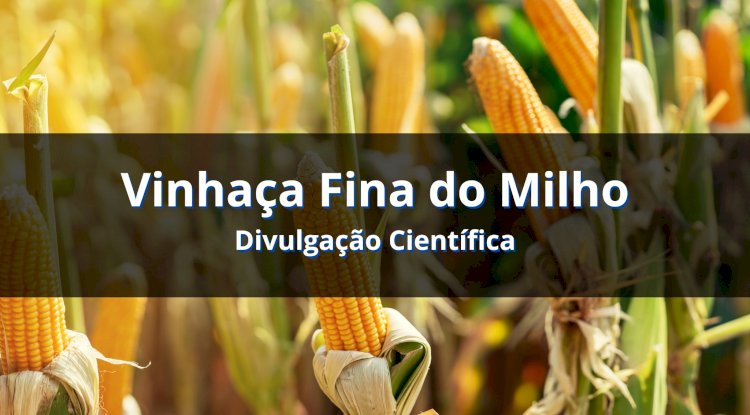 Biogás de Vinhaça Fina do Milho