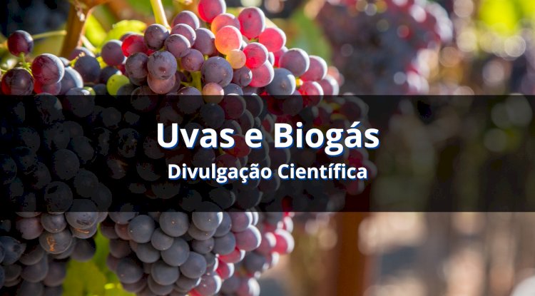 Geração de biogás a partir do bagaço de uva