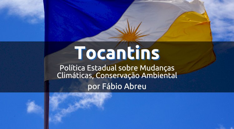 Tocantins e a Política Estadual