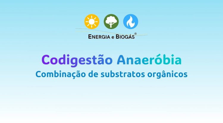 O que é Codigestão Anaeróbia?