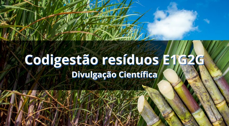 Codigestão de resíduos de plantas de etanol 1G2G