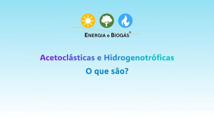 O que são Acetoclásticas e Hidrogenotróficas?