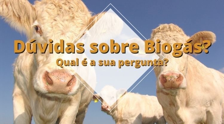 Faça uma pergunta sobre biogás, biodigestor ou biofertilizante