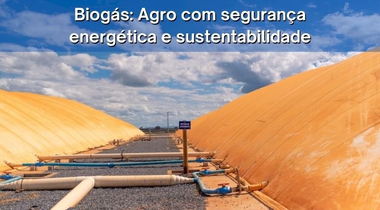 Biogás: Agro com segurança energética e sustentabilidade
