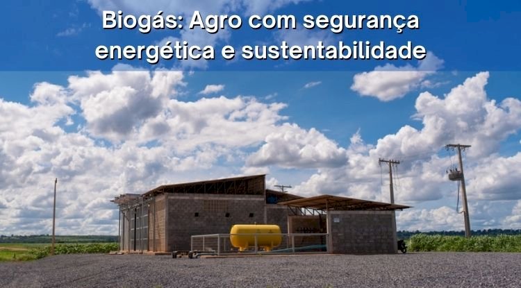 Biogás: Agro com segurança energética e sustentabilidade