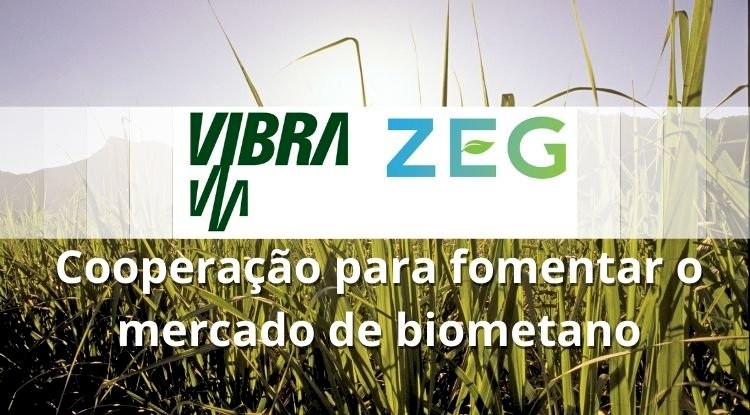 Vibra Energia e ZEG Biogás se unem para fomentar o mercado de biometano no Brasil
