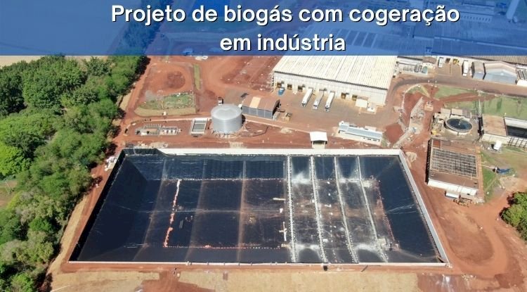 Sotreq implantará projeto inovador de cogeração a biogás em indústria