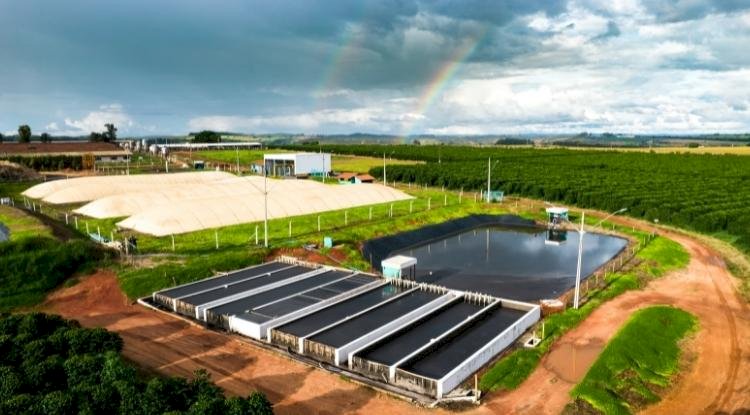 Empresas  lançam solução de geração de energia à biogás, em economia circular, para pequenas propriedades do agro