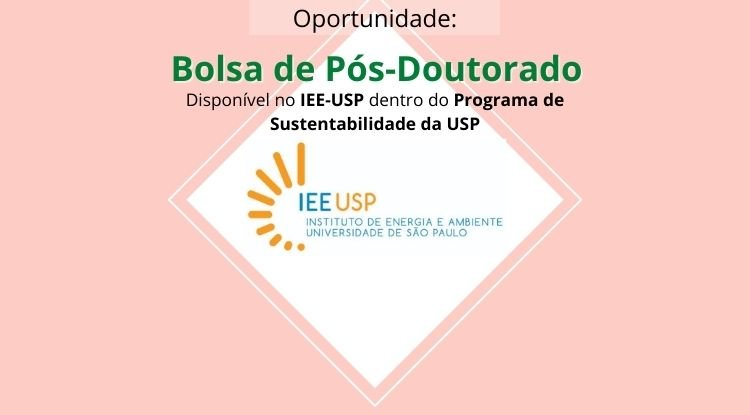 Bolsa de Pós-Doutorado disponível no IEE-USP - Programa de Sustentabilidade da USP