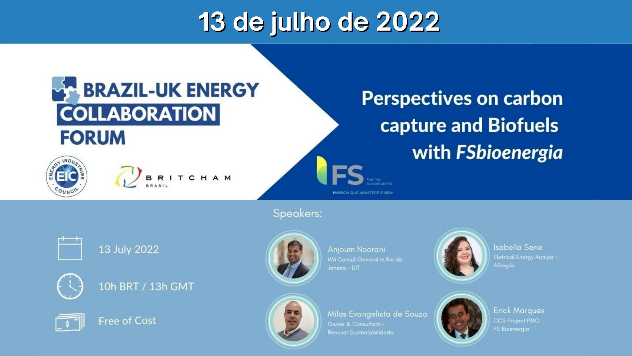 BR-UK Energy Collab. Forum: Carbon capture and Biofuels with FSbioenergia