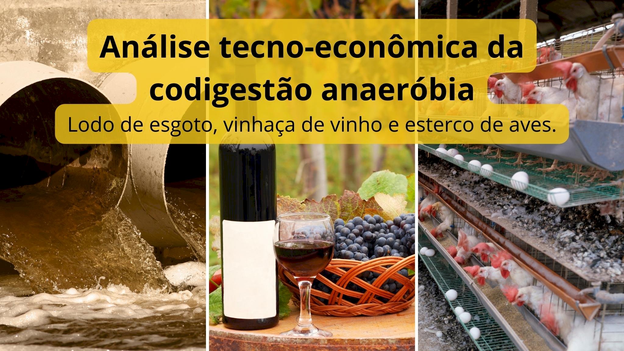 Estudo analisa o potencial tecno-econômico da codigestão anaeróbia do lodo de esgoto, vinhaça de vinho e esterco de aves