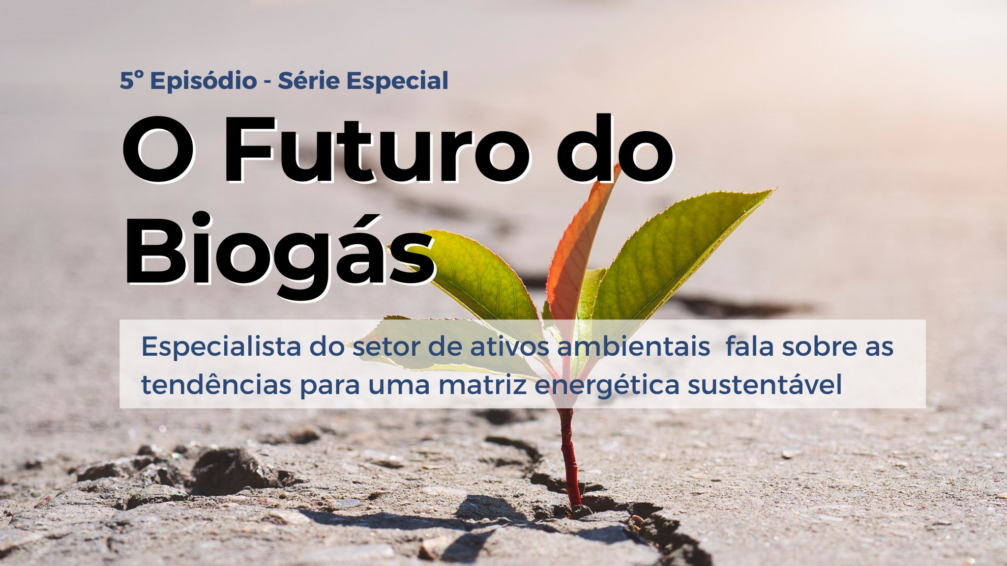 I-REC DAY BRAZIL - Portal Energia e Biogás