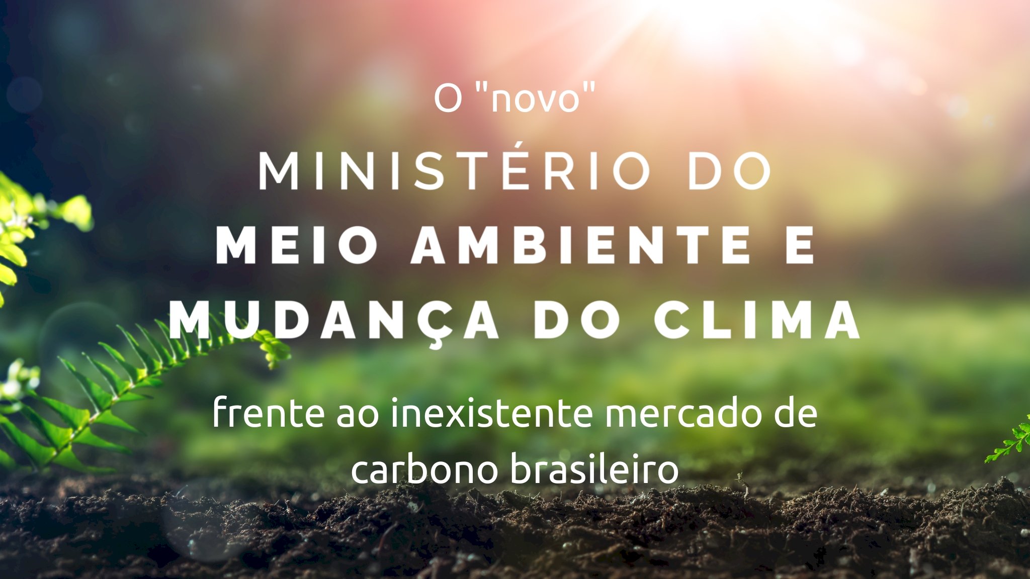O “novo” Ministério do Meio Ambiente e Mudança do Clima frente ao inexistente mercado de carbono brasileiro