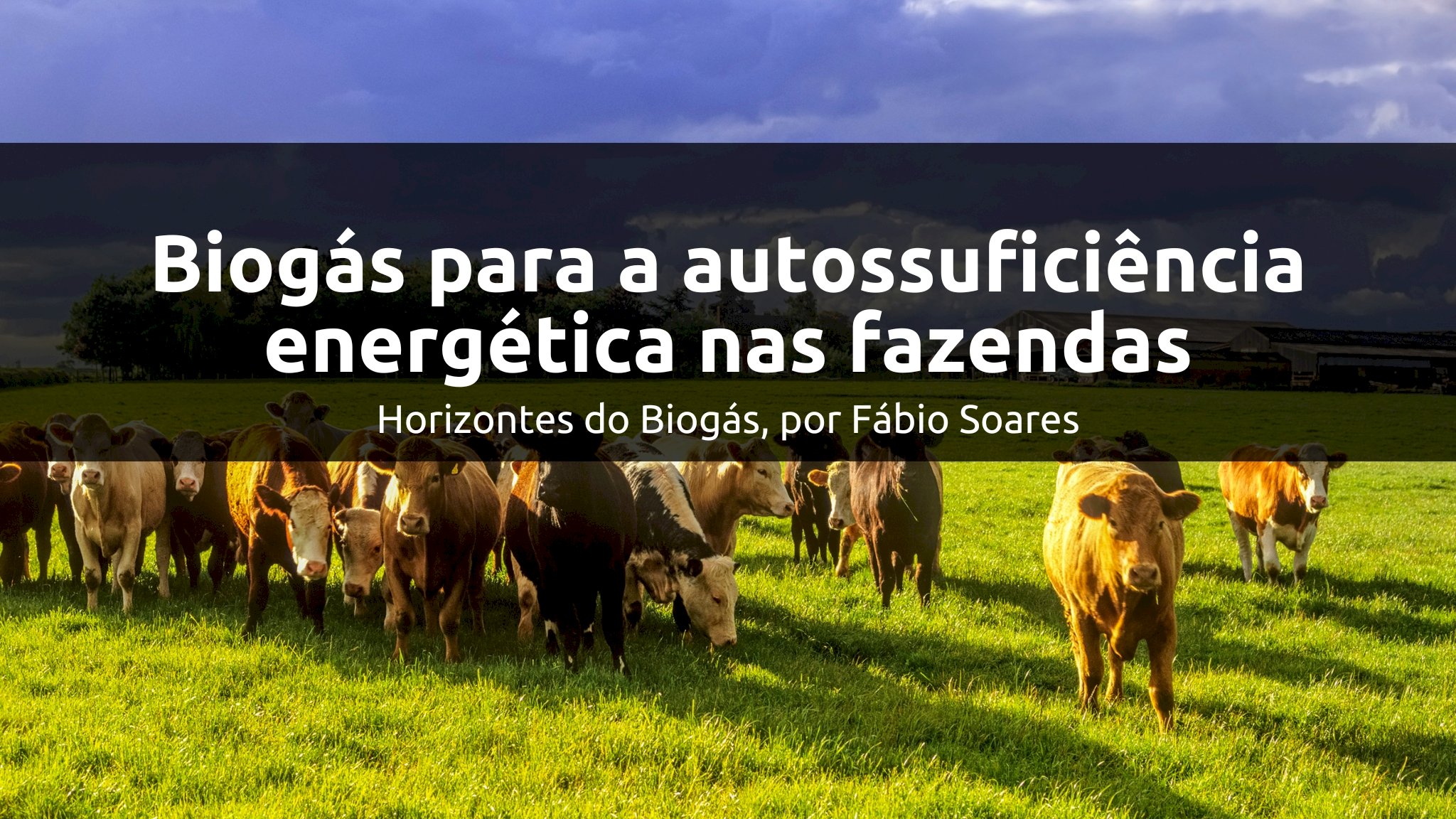 Autossuficiência energética: biogás do setor de produção de proteína animal