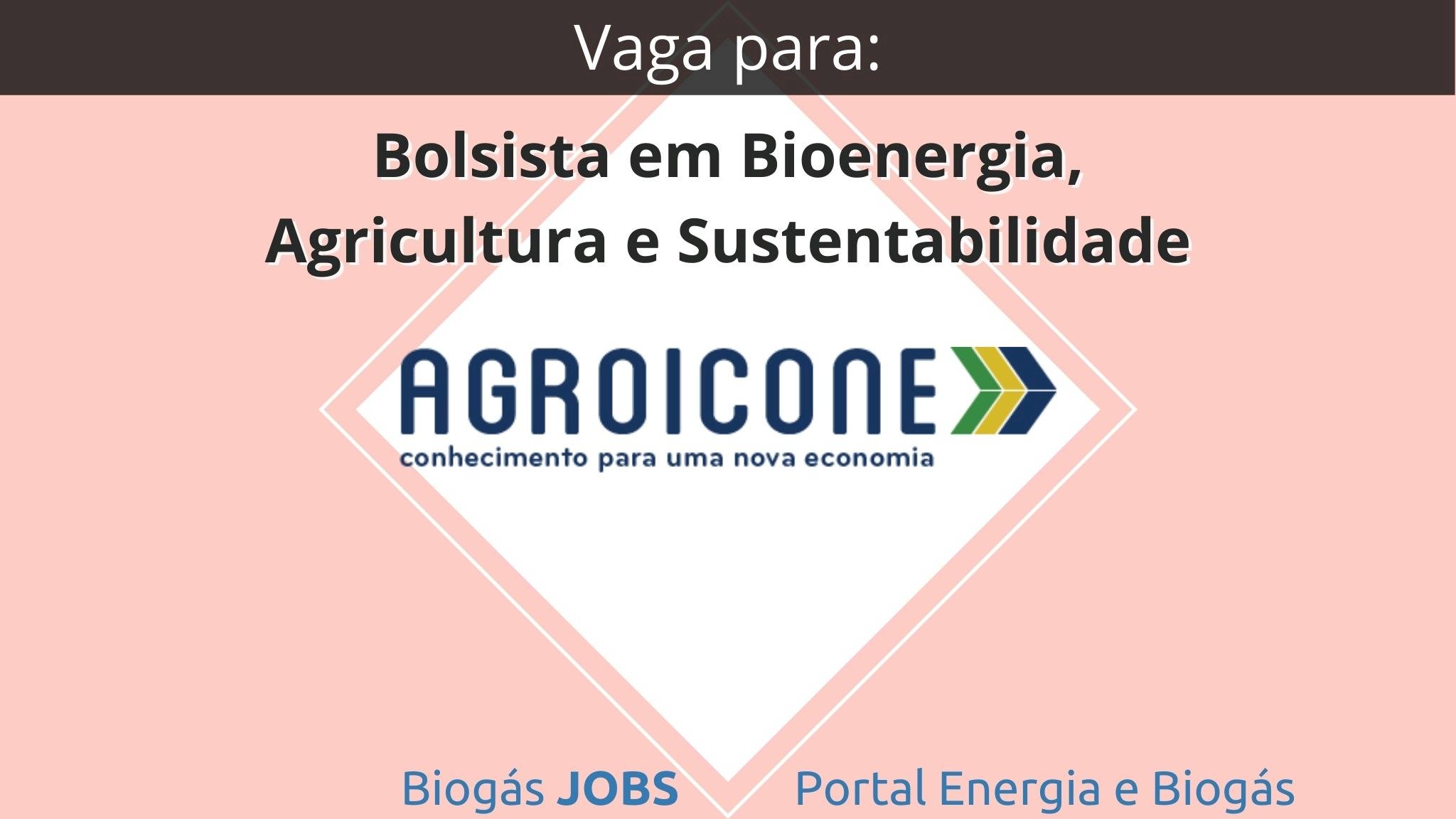 Vaga para Bolsista em Bioenergia, Agricultura e Sustentabilidade