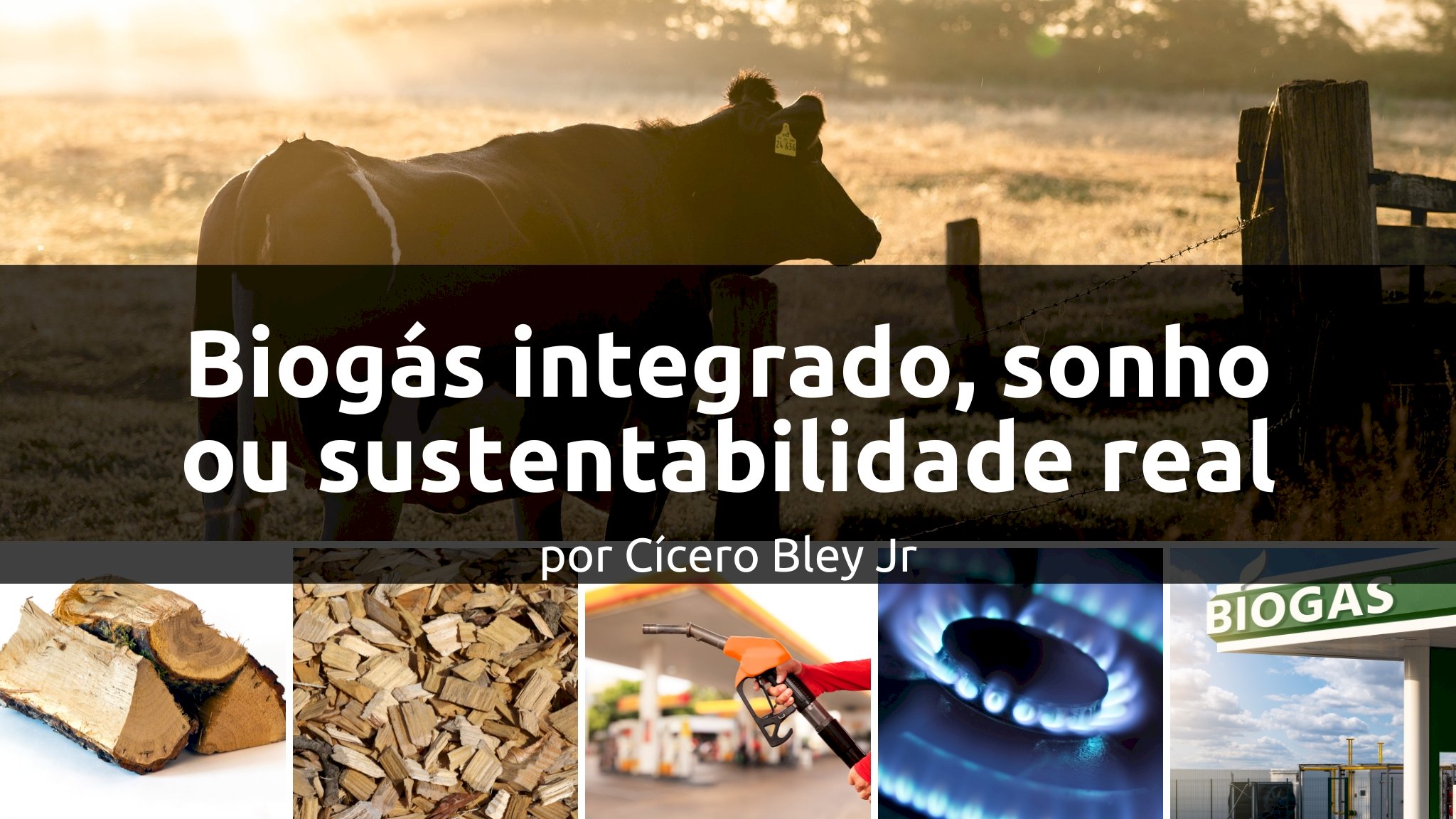 Biogás integrado, sonho ou sustentabilidade real