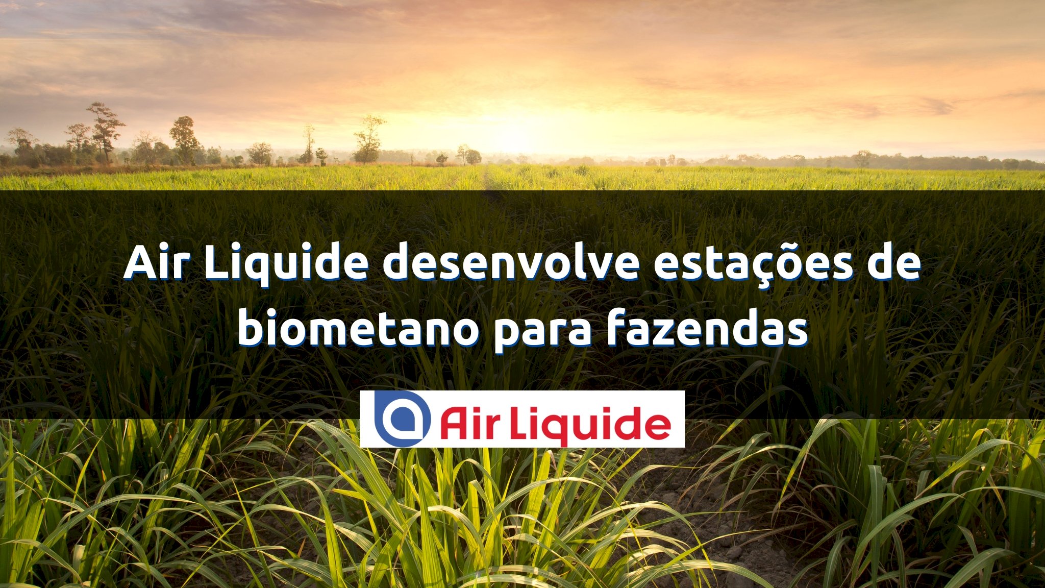 Air Liquide desenvolve estações de biometano para fazendas