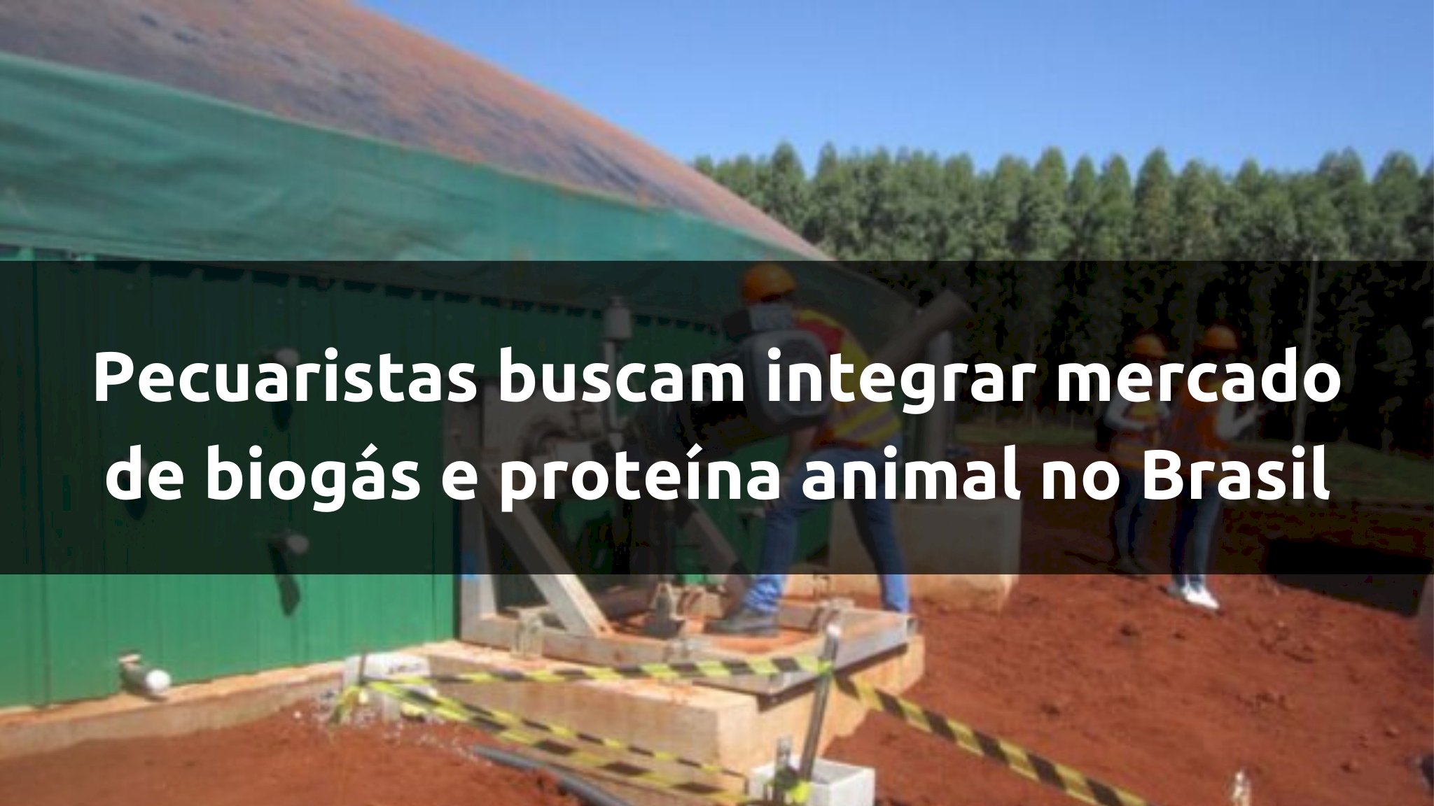 Pecuaristas buscam integrar mercado de biogás e proteína animal no Brasil