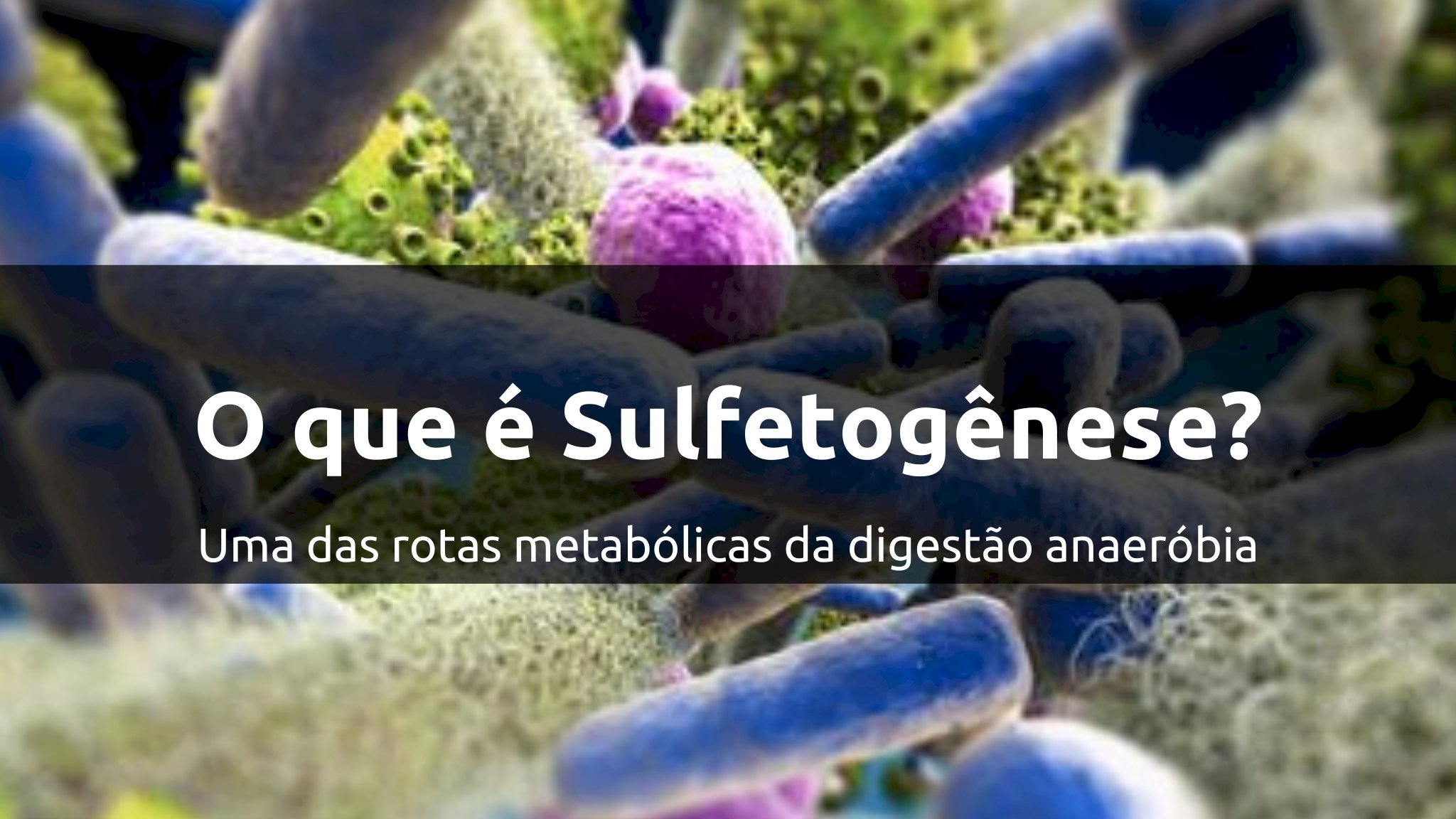 O que é Sulfetogênese?