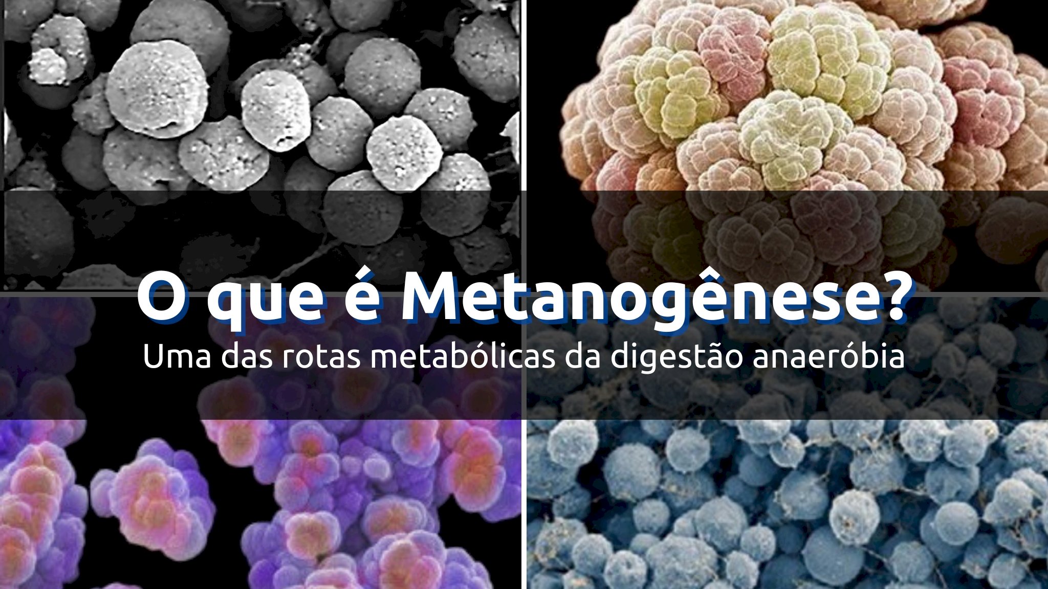 O que é Metanogênese?