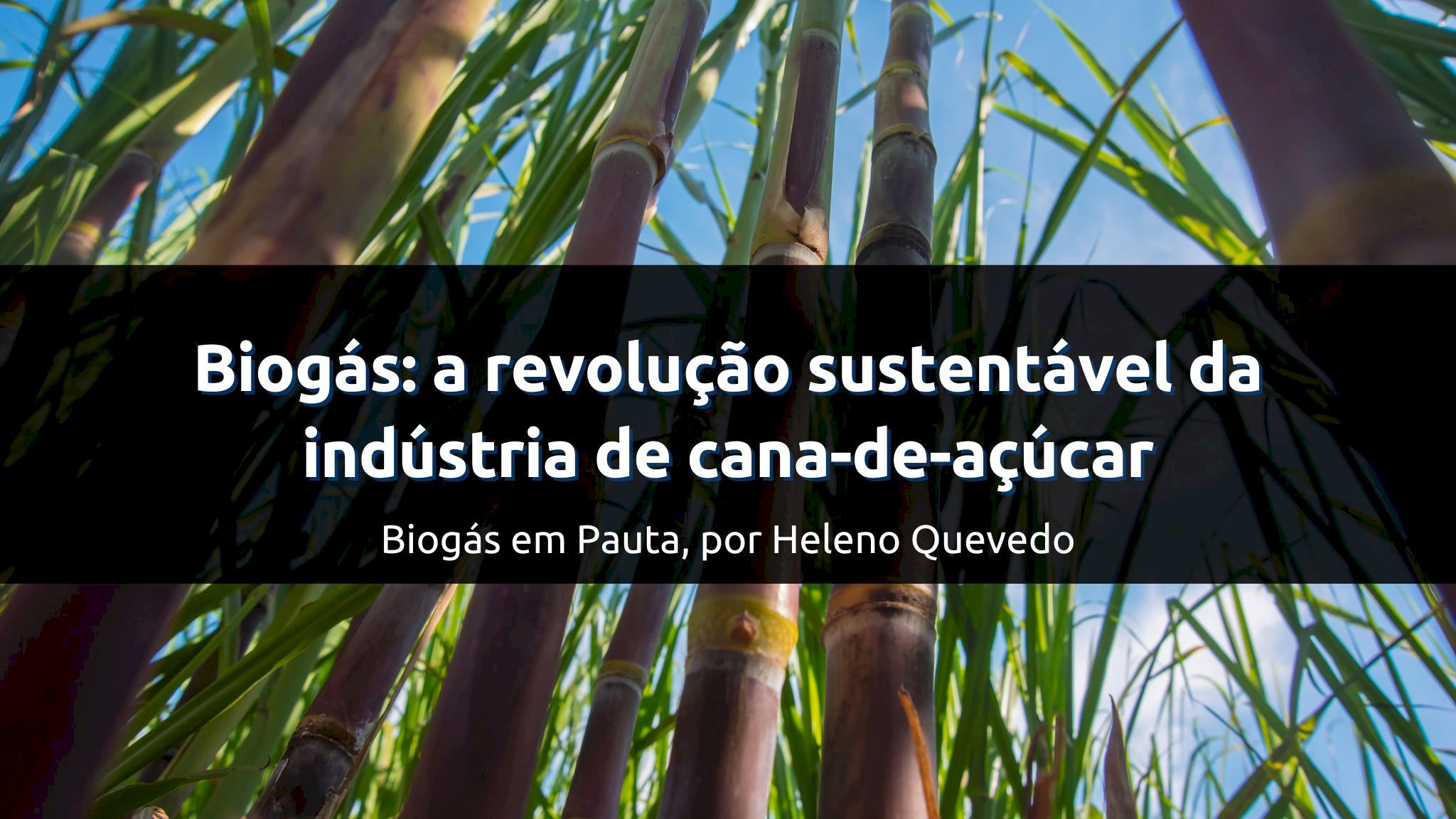 Biogás: a revolução sustentável da indústria de cana-de-açúcar