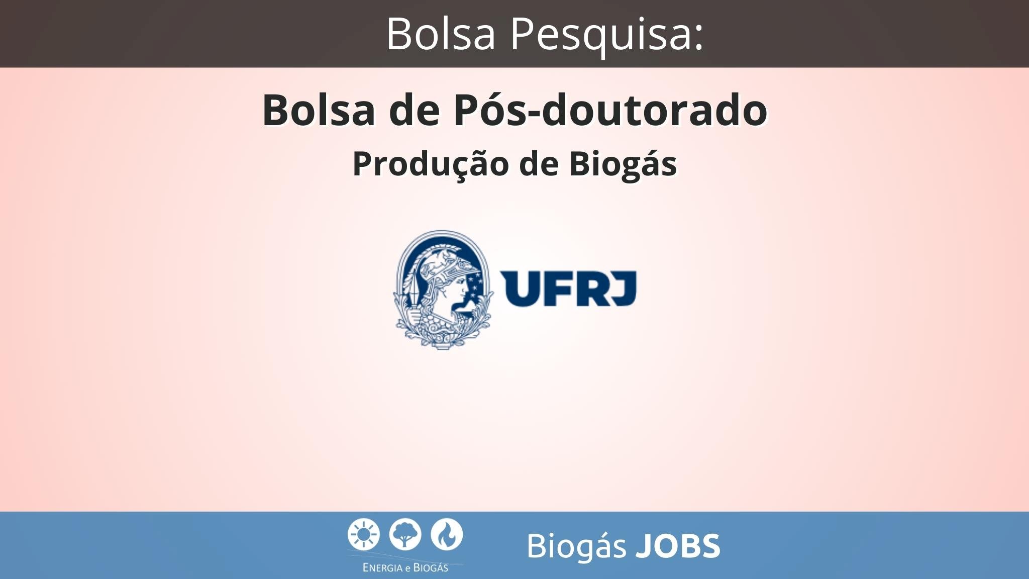 Bolsa de Pós-doutorado - Produção de Biogás