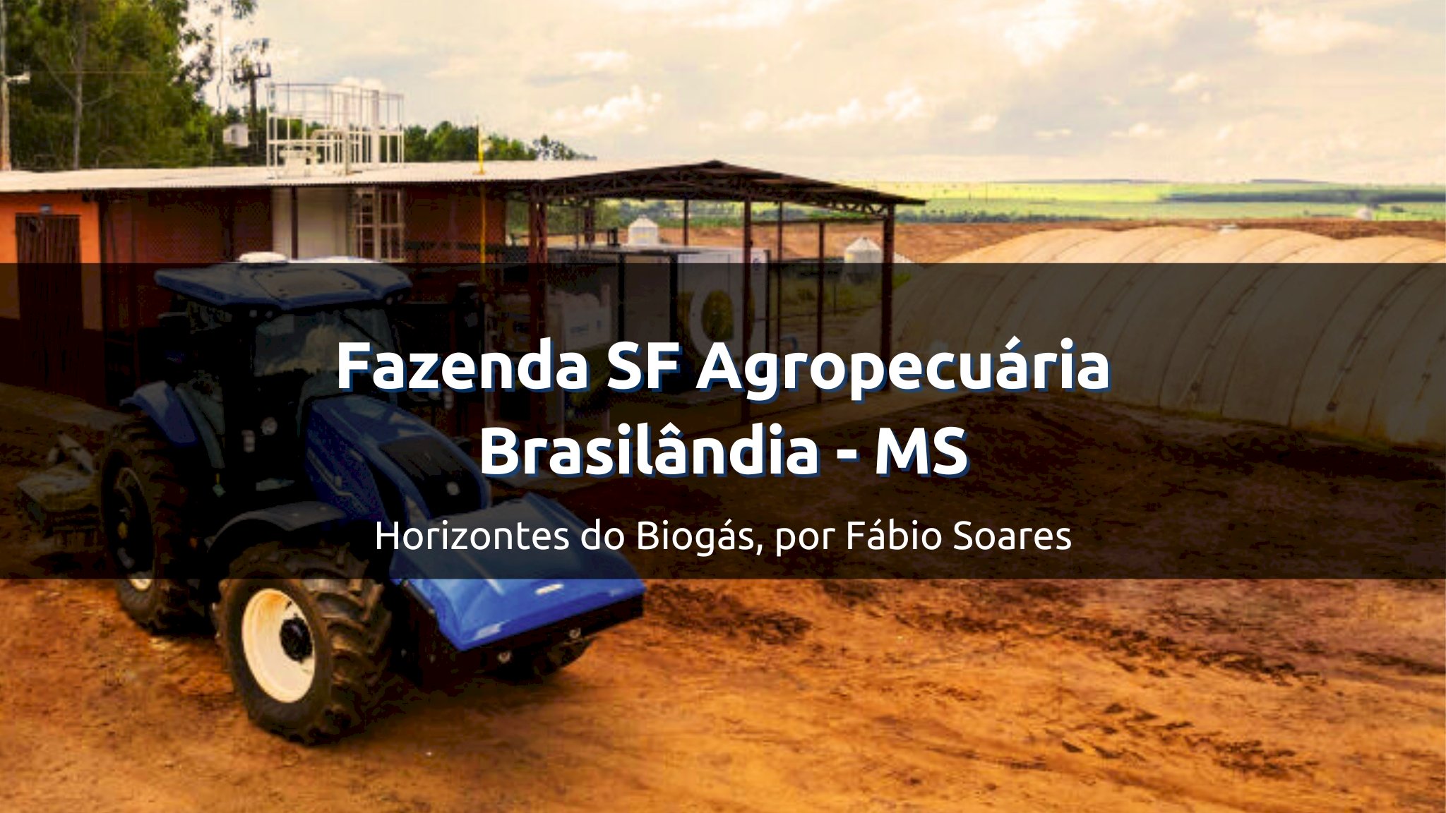 Fazenda SF Agropecuária, Brasilândia / Mato Grosso do Sul