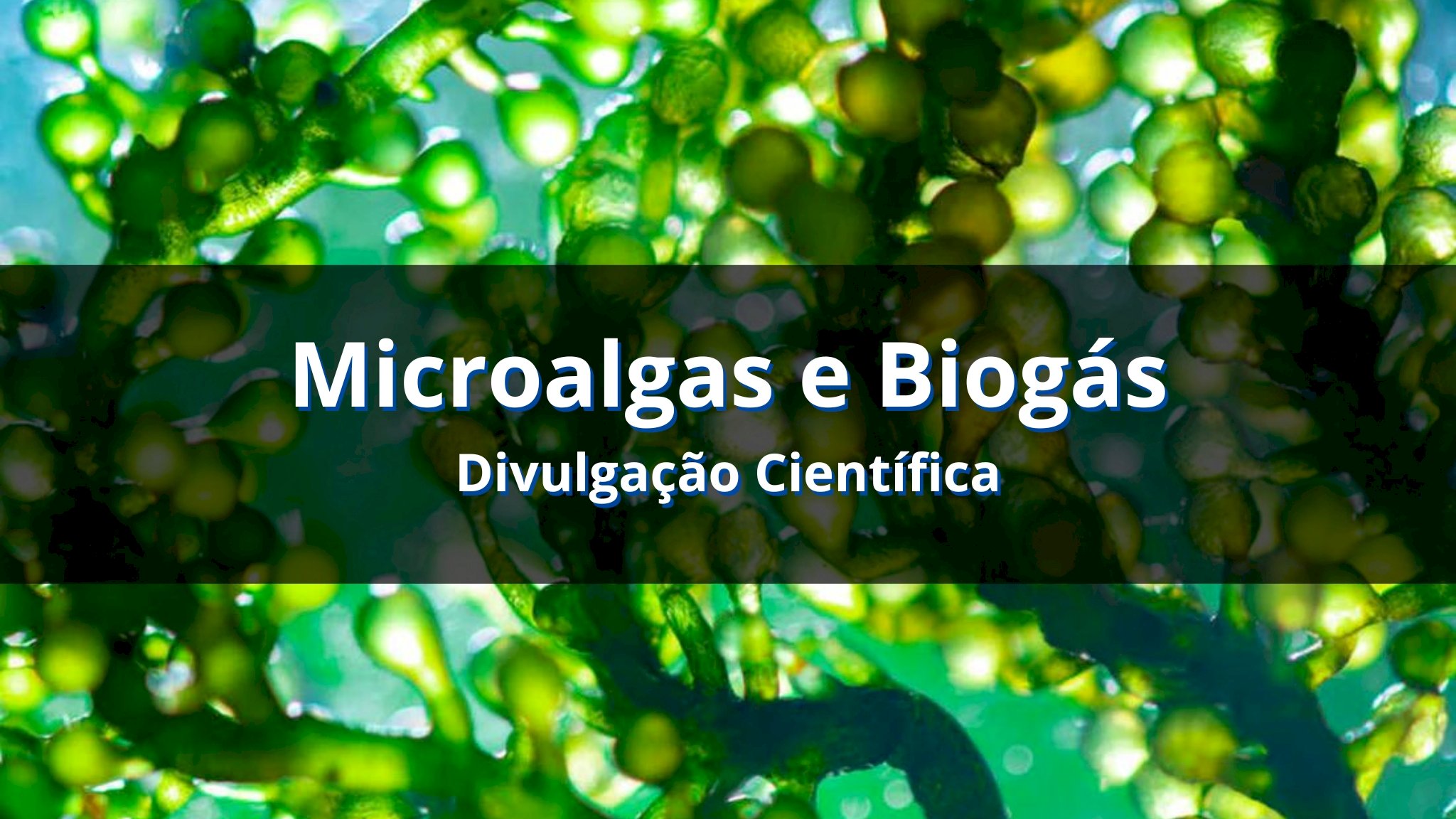 Microalgas e Biogás