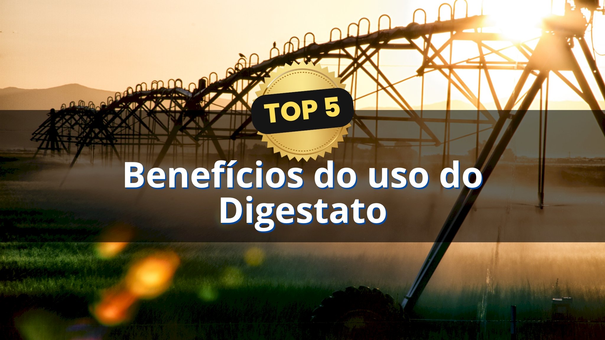 Top 5: Benefícios do uso do Digestato