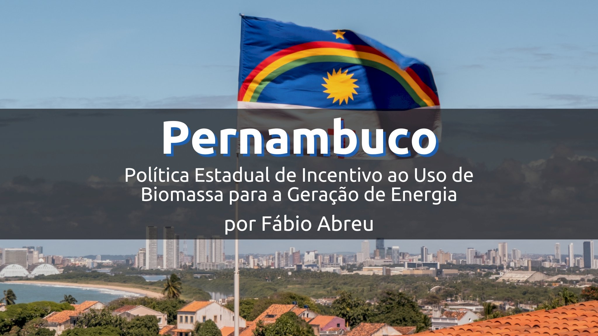Pernambuco e a Política Estadual de Incentivo ao Uso de Biomassa