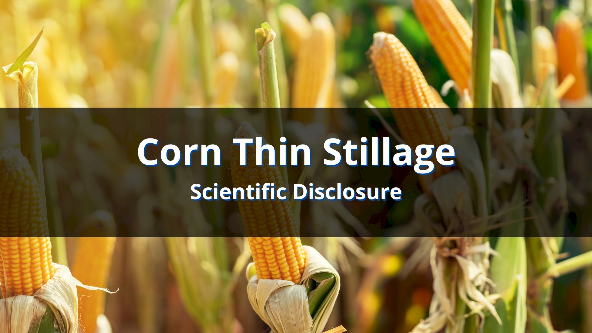 Biogas from Corn Thin Stillage
