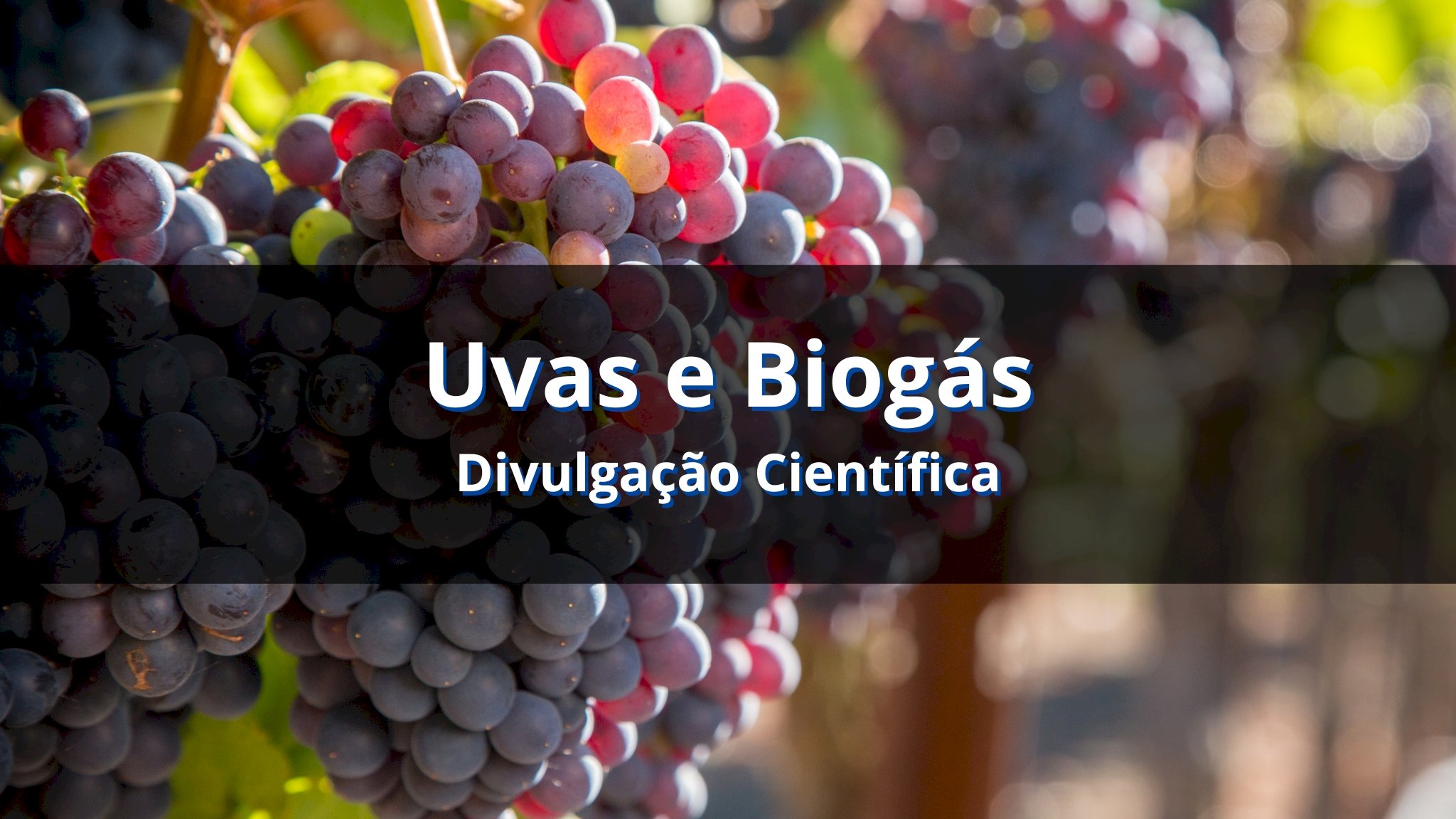 Geração de biogás a partir do bagaço de uva