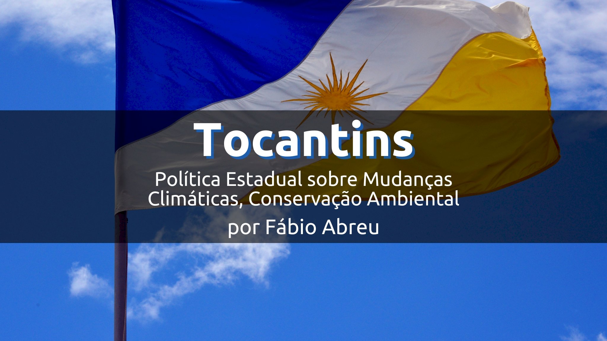 Tocantins e a Política Estadual