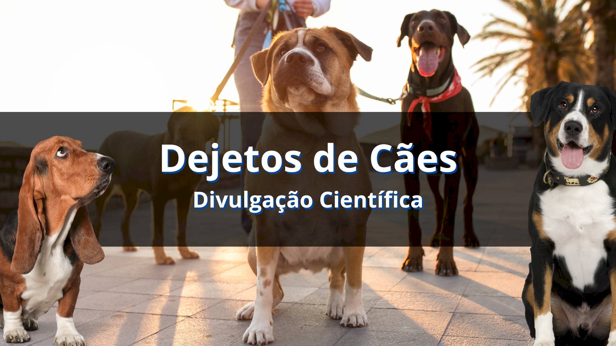 Potencial de biogás dos dejetos de cães