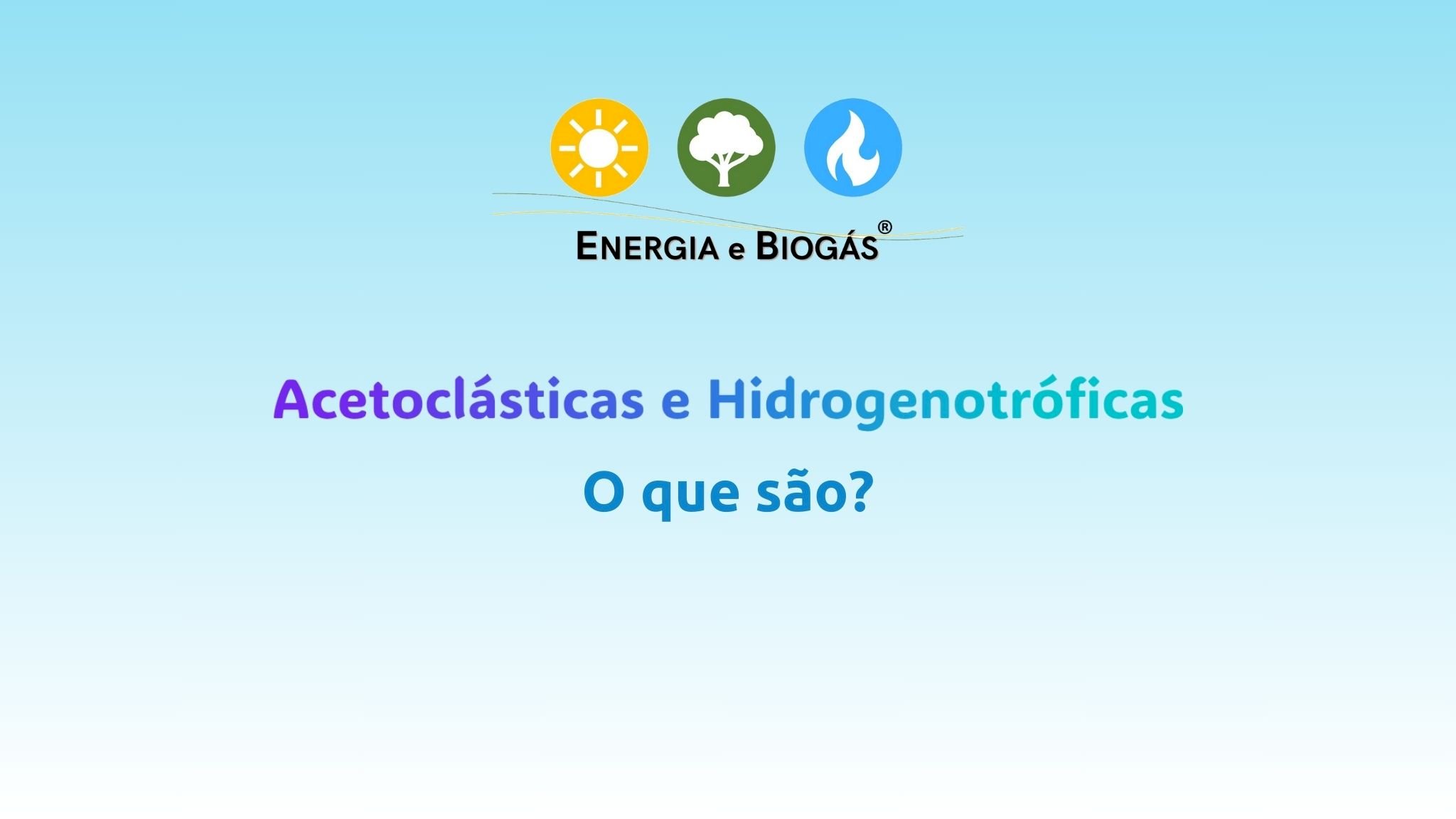 O que são Acetoclásticas e Hidrogenotróficas?