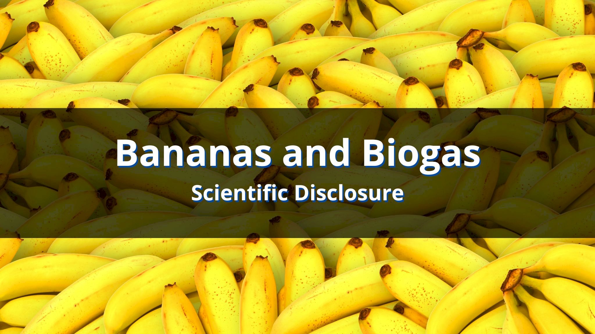 Biogas from Banana Farming Residues