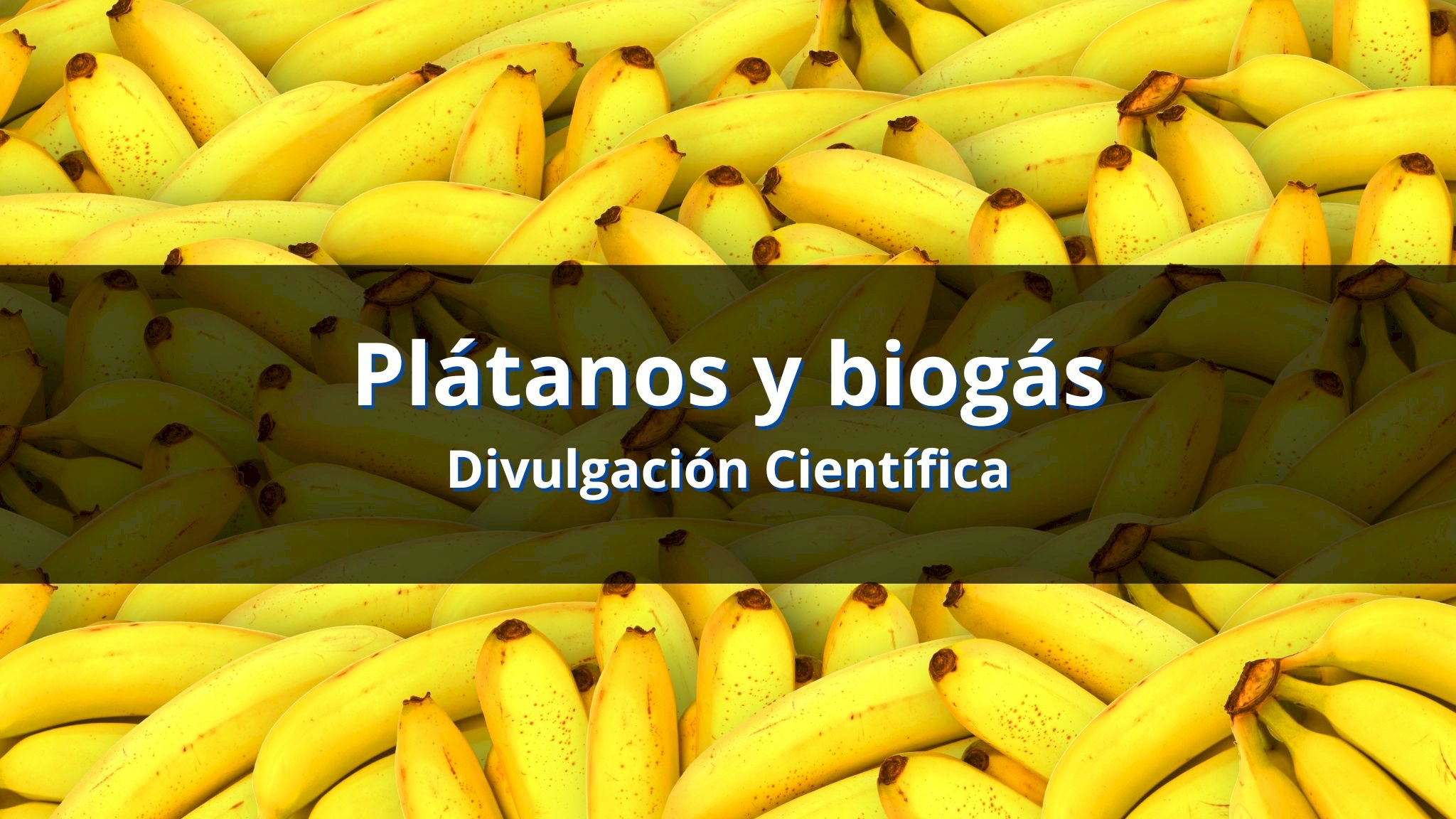  Biogás con residuos de la bananicultura