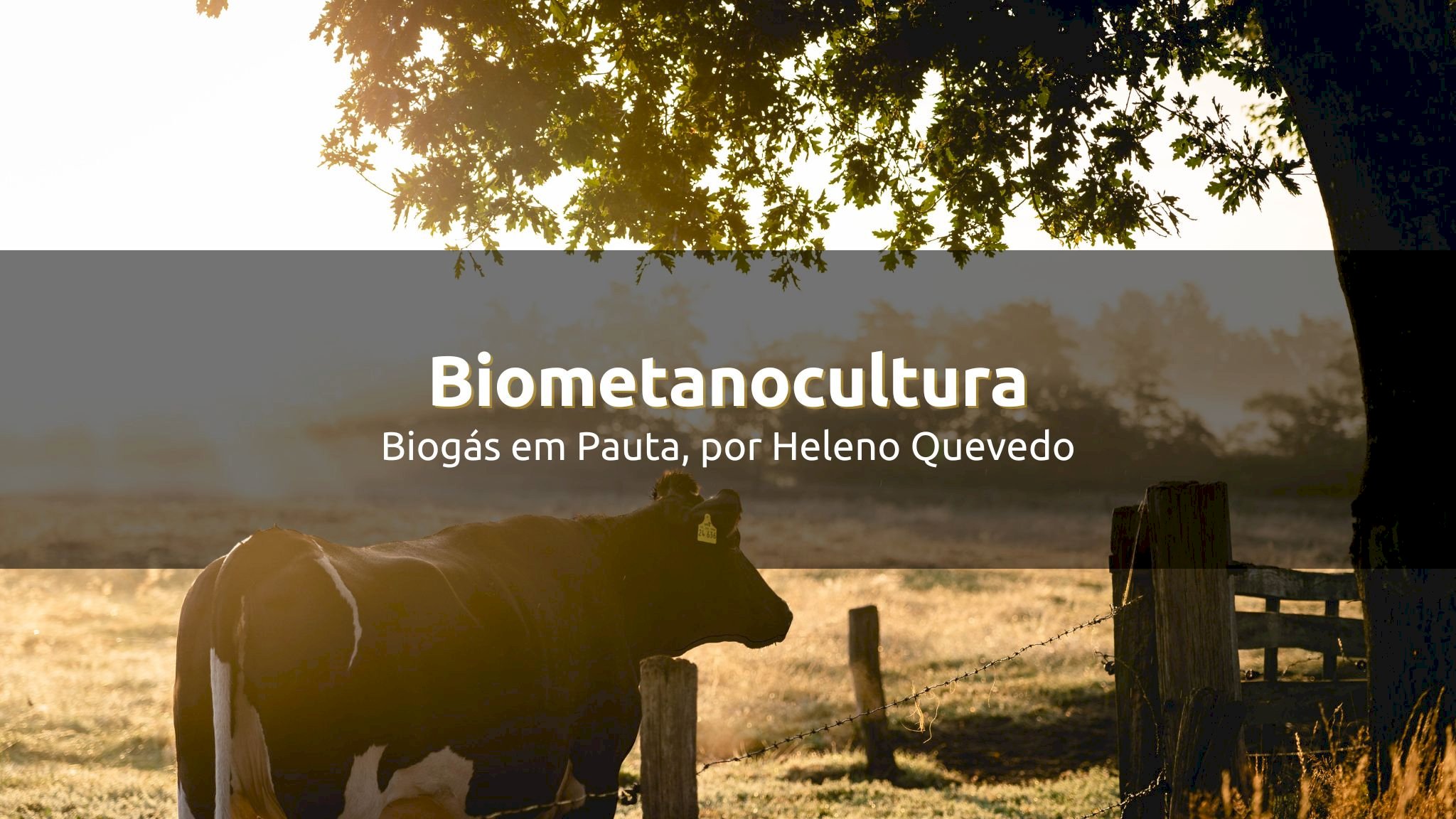 Biometanocultura - nova cultura da agropecuária